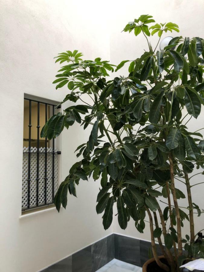 Ferienwohnung Jano Puertatierra Cádiz Exterior foto